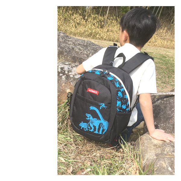 JANSPORT HIGH STAKES 25L バックパック リュック 山脈