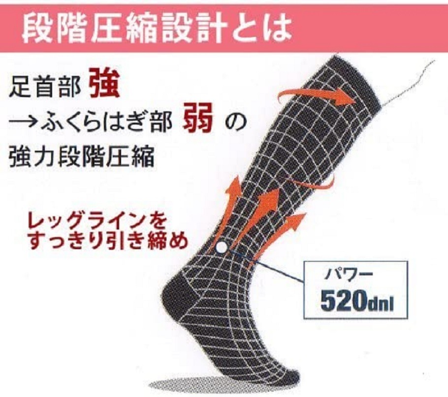 エナジック ハイソックス 2足組【正規品】 着圧ソックス レディース BiBI ドレナージュ グラントイーワンズ 着圧靴下 着圧くつ下 エナジック ハイソックス 2足組【正規品】 着圧ソックス レディース BiBI ドレナージュ グラントイーワンズ 着圧靴下 着圧くつ下