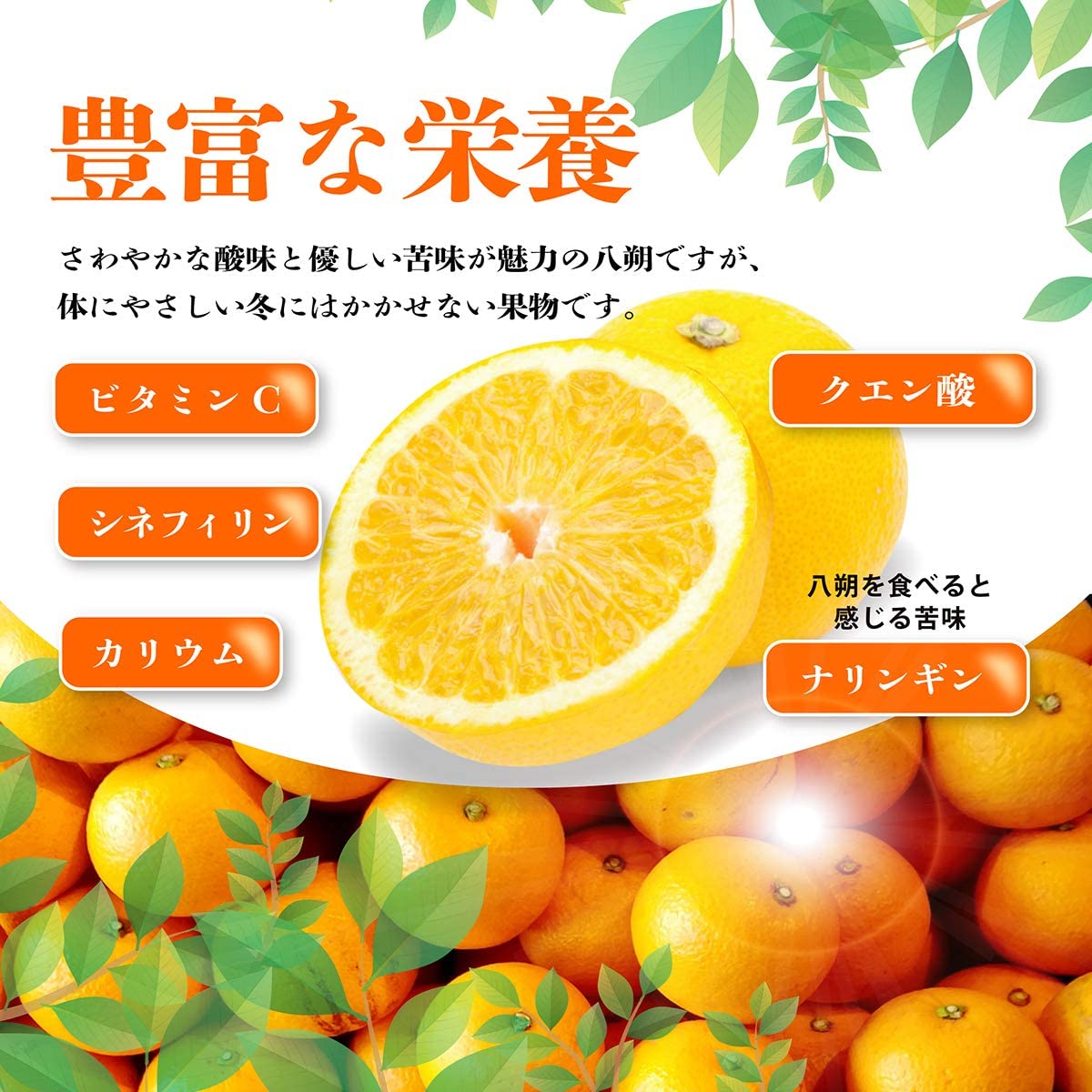美味いとこどり 和歌山県産 八朔 はっさく ( 10kg ) ご家庭用 和歌山県産 産地直送 訳あり フルーツマイスターが選別 美味いとこどり 和歌山県産 八朔 はっさく ( 10kg ) ご家庭用 和歌山県産 産地直送 訳あり フルーツマイスターが選別
