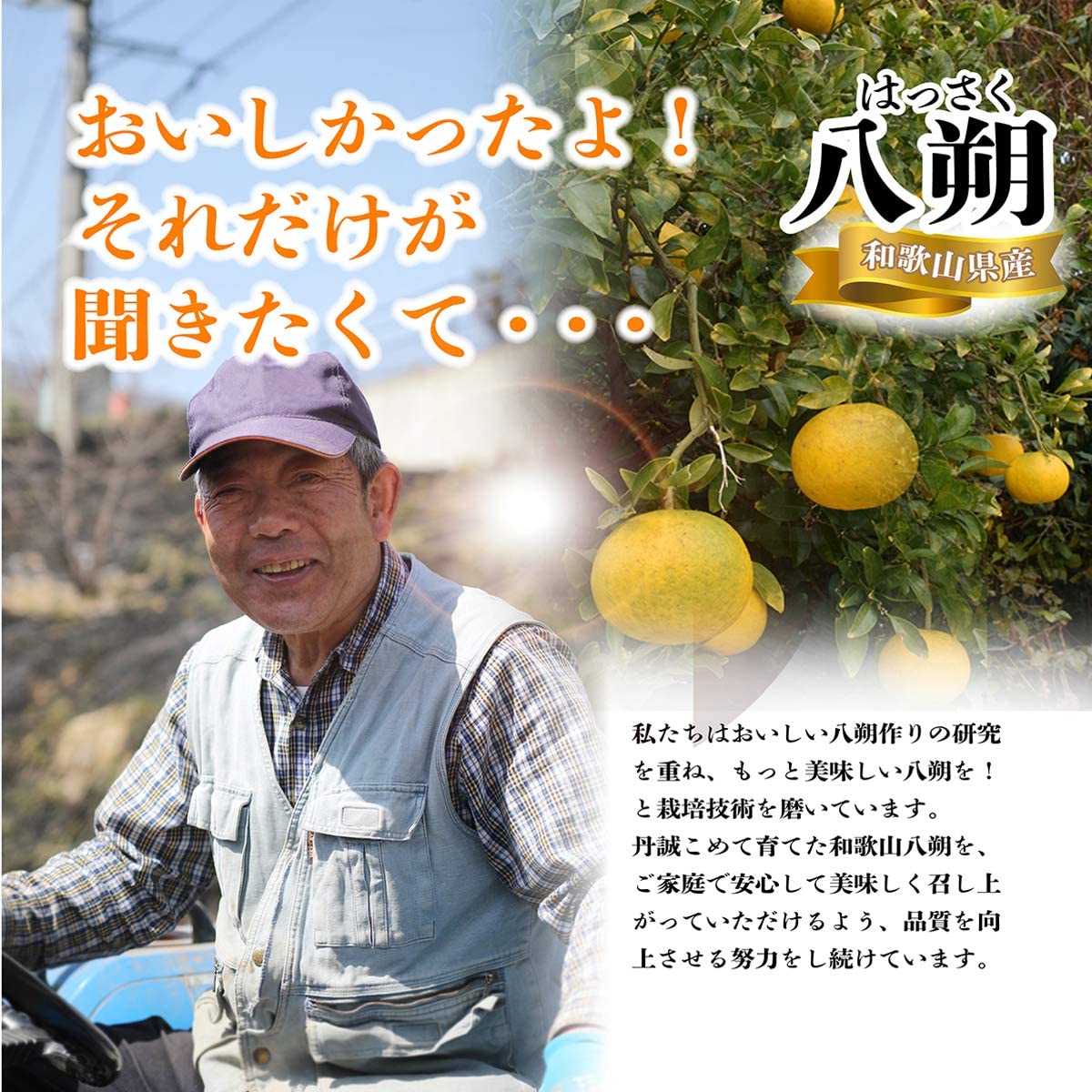 美味いとこどり 和歌山県産 八朔 はっさく ( 10kg ) ご家庭用 和歌山県産 産地直送 訳あり フルーツマイスターが選別 美味いとこどり 和歌山県産 八朔 はっさく ( 10kg ) ご家庭用 和歌山県産 産地直送 訳あり フルーツマイスターが選別
