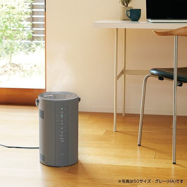 象印 スチーム式加湿器 EE-DF35-HA グレー 象印（ZOJIRUSHI） EE-DF35-HA スチーム式加湿器 水タンク一体型 10(6
