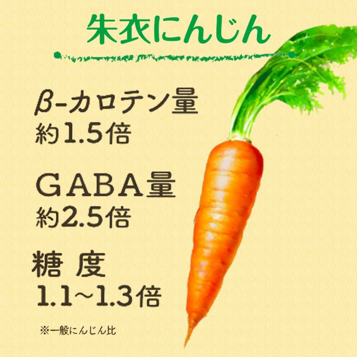 伊藤園 充実野菜 キャロット100 740g ペットボトル 30本 (15本入×2 まとめ買い) 野菜ジュース 朱衣にんじん 伊藤園 充実野菜 キャロット100 740g ペットボトル 30本 (15本入×2 まとめ買い) 野菜ジュース 朱衣にんじん