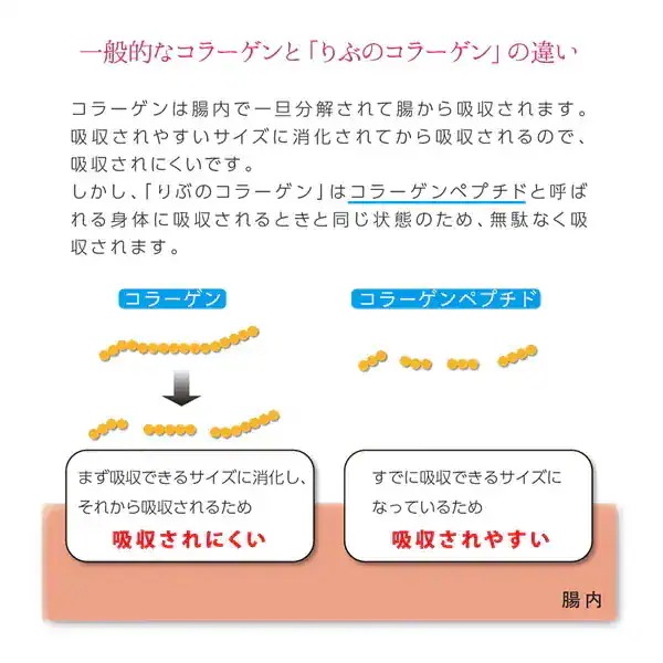 りぶのコラーゲン 12個セット (全国一律送料無料) コラーゲン コラーゲンペプチド フィッシュコラーゲン 美容 健康 りぶのコラーゲン 12個セット (全国一律送料無料) コラーゲン コラーゲンペプチド フィッシュコラーゲン 美容 健康