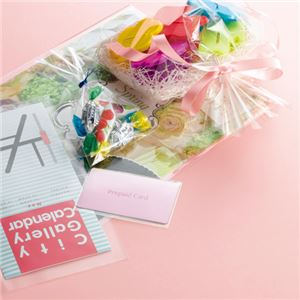 （まとめ） TANOSEE OPP袋 フラット A4用 225×310mm 1パック（100枚） (×10セット)