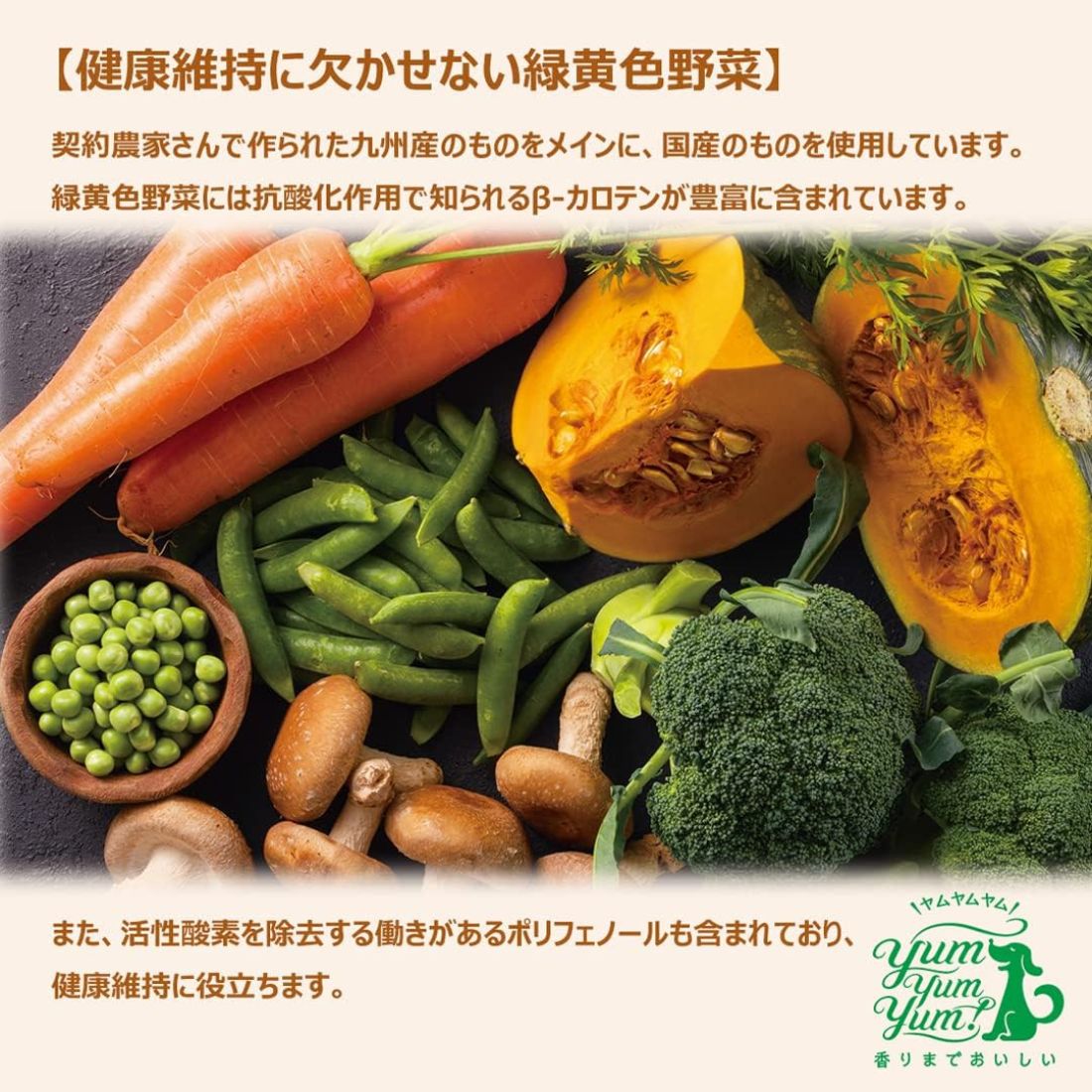 【選べるプレゼント付】 国産 ドッグフード 馬肉 ドライタイプ 1.3kg