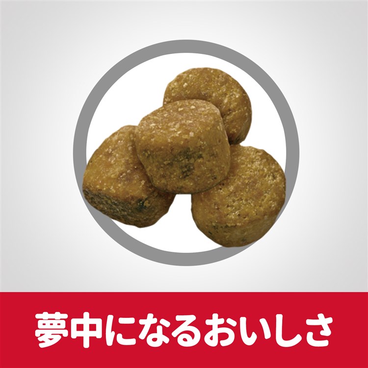 ドッグフード 犬 ヒルズ サイエンスダイエット ライト 肥満傾向の成犬用 6.5kg ダイエット ドライフード ドライ フード ペット【TC】 メガ割 ドッグフード 犬 ヒルズ サイエンスダイエット ライト 肥満傾向の成犬用 6.5kg ダイエット ドライフード ドライ フード ペット【TC】 メガ割
