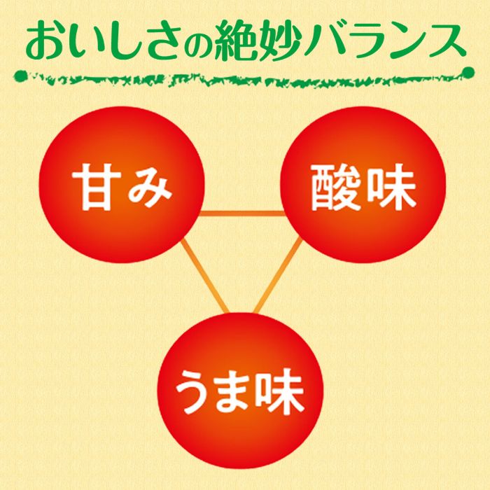 伊藤園 充実野菜 理想のトマト 740g ペットボトル 30本 (15本入×2 まとめ買い) 野菜ジュース トマトジュース 伊藤園 充実野菜 理想のトマト 740g ペットボトル 30本 (15本入×2 まとめ買い) 野菜ジュース トマトジュース