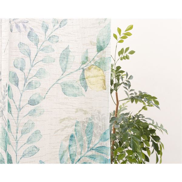 レースカーテン 幅150cm×丈253cm グリーン 1枚 洗える 日本製 アジャスターフック付き シャンヌ GN リビング ダイニング レースカーテン 幅150cm×丈253cm グリーン 1枚 洗える 日本製 アジャスターフック付き シャンヌ GN リビング ダイニング