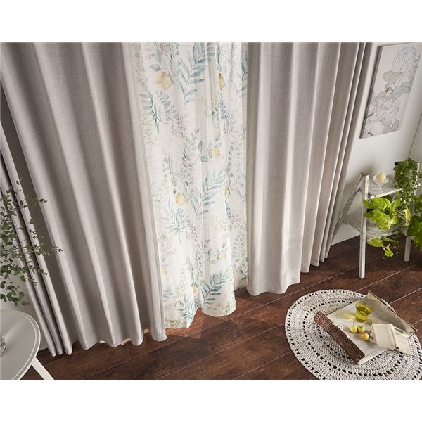 レースカーテン 幅150cm×丈253cm グリーン 1枚 洗える 日本製 アジャスターフック付き シャンヌ GN リビング ダイニング レースカーテン 幅150cm×丈253cm グリーン 1枚 洗える 日本製 アジャスターフック付き シャンヌ GN リビング ダイニング