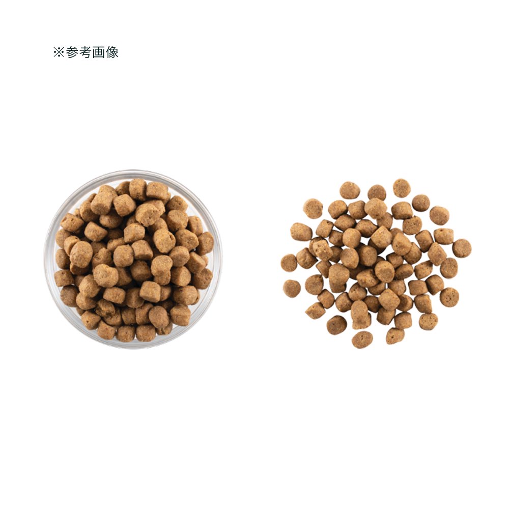 ドッグフード　ＮＯＷ　ＦＲＥＳＨ　ナウ　フレッシュ　アダルト　５．４４ｋｇ　ＣＲＣ45―02―20―20―00