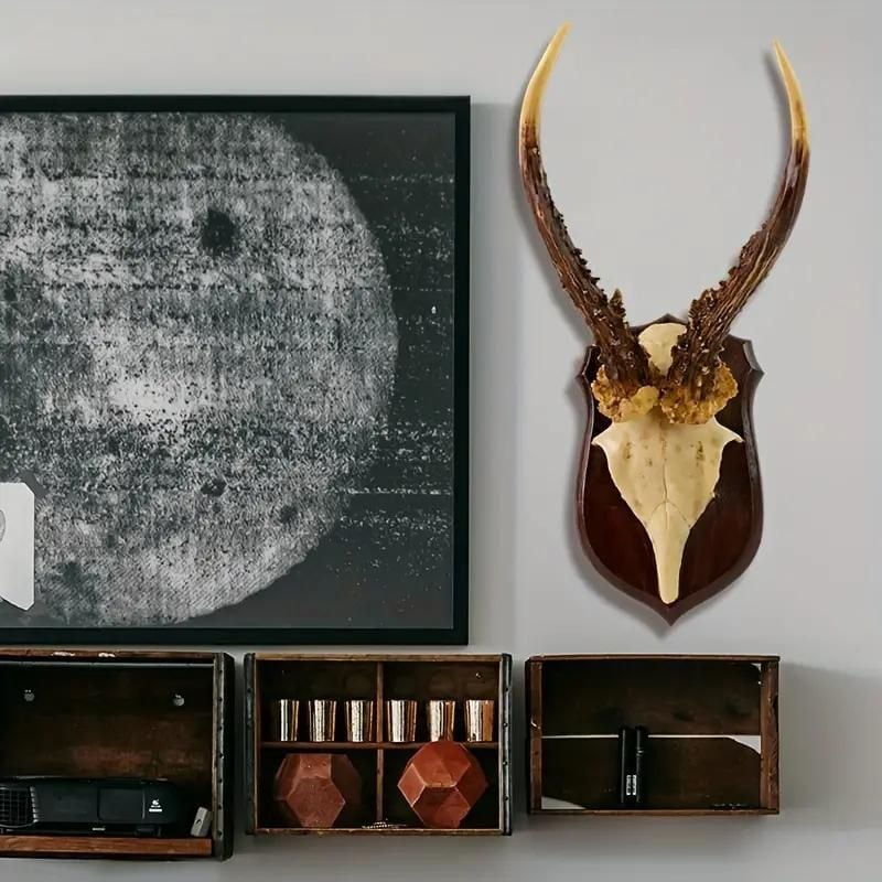 ハンティングトロフィー‼️大物だけを厳選‼️壁掛け用‼️インテリア装飾‼️ インテリア 壁掛け 鹿 頭 ハンティングトロフィー調 直径61 おしゃれ