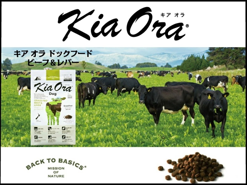キア オラ ドッグフード ビーフ&レバー 4.5kg【犬想いオリジナル今治ハンドタオルセット】【タオルカラー ホワイト】【正規品】 キア オラ ドッグフード ビーフ&レバー 4.5kg【犬想いオリジナル今治ハンドタオルセット】【タオルカラー ホワイト】【正規品】