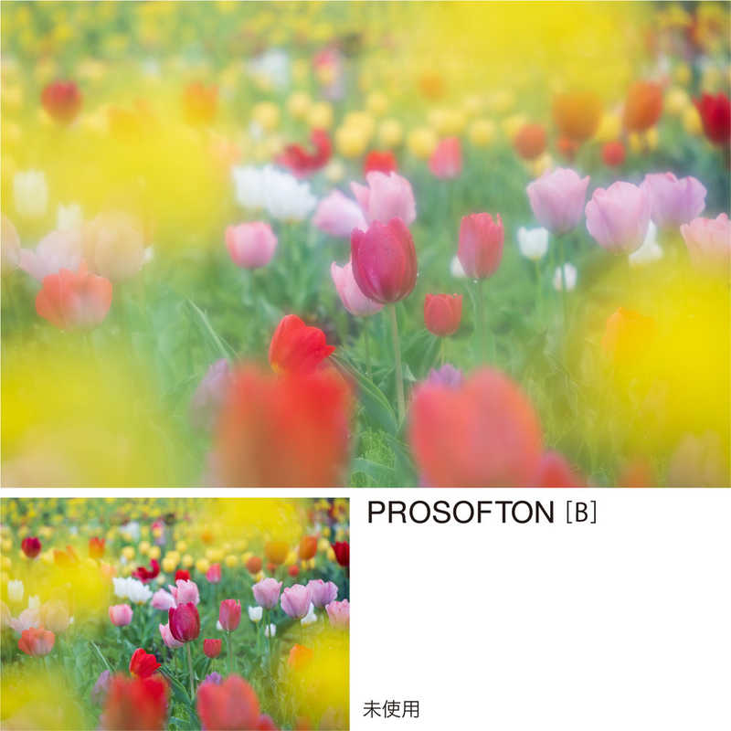 ケンコー　PRO1D プロソフトン［B］(W) 67mm　PRO1DPROSOFTB