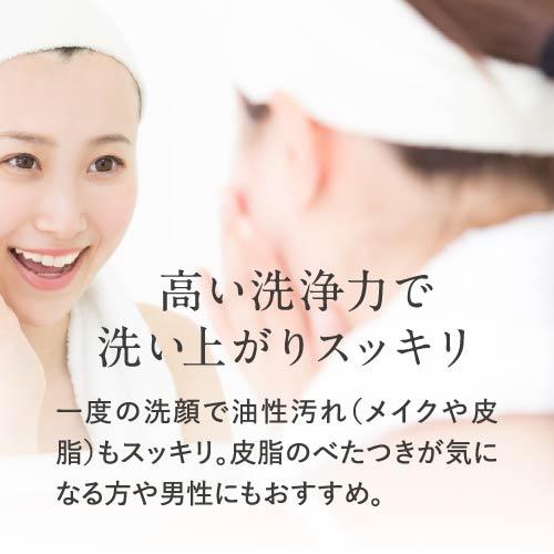 [正規販売店] クレンジングソープ泡 ホームケア 200mL + 詰替用 500mL + ハイドロキノン配合 ミニ洗顔石けん 付き セット 泡タイプ洗顔料