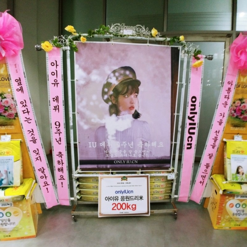 IU 2017年 9周年記念ファンミーティング カセットテープ エコバッグ IU アイユー 2017年 デビュー9周年記念ファンミーティング