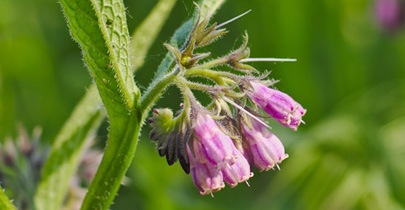 【 日本公式ショップ】スキンソリューション BBクリーム 50g チューブタイプ スポンジ無し カバー力 敏感肌 時短 bbファンデーション 下地不要 ファンデーション ツヤ肌 韓国 ドクター 【 日本公式ショップ】スキンソリューション BBクリーム 50g チューブタイプ スポンジ無し カバー力 敏感肌 時短 bbファンデーション 下地不要 ファンデーション ツヤ肌 韓国 ドクター