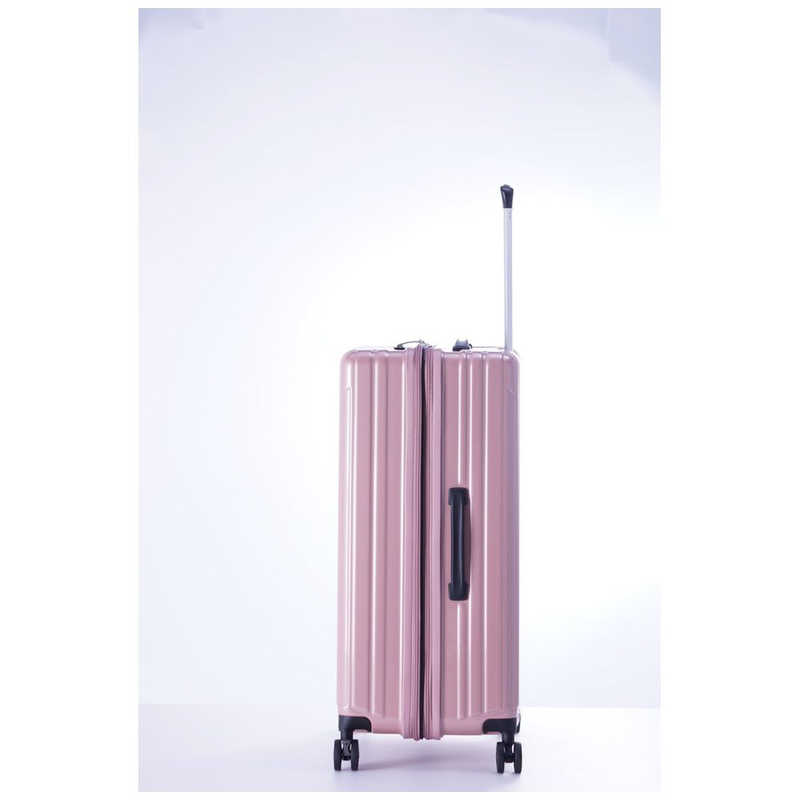 A.L.I ハードキャリー FiL Pake ガンメタブラッシュ [TSAロック搭載