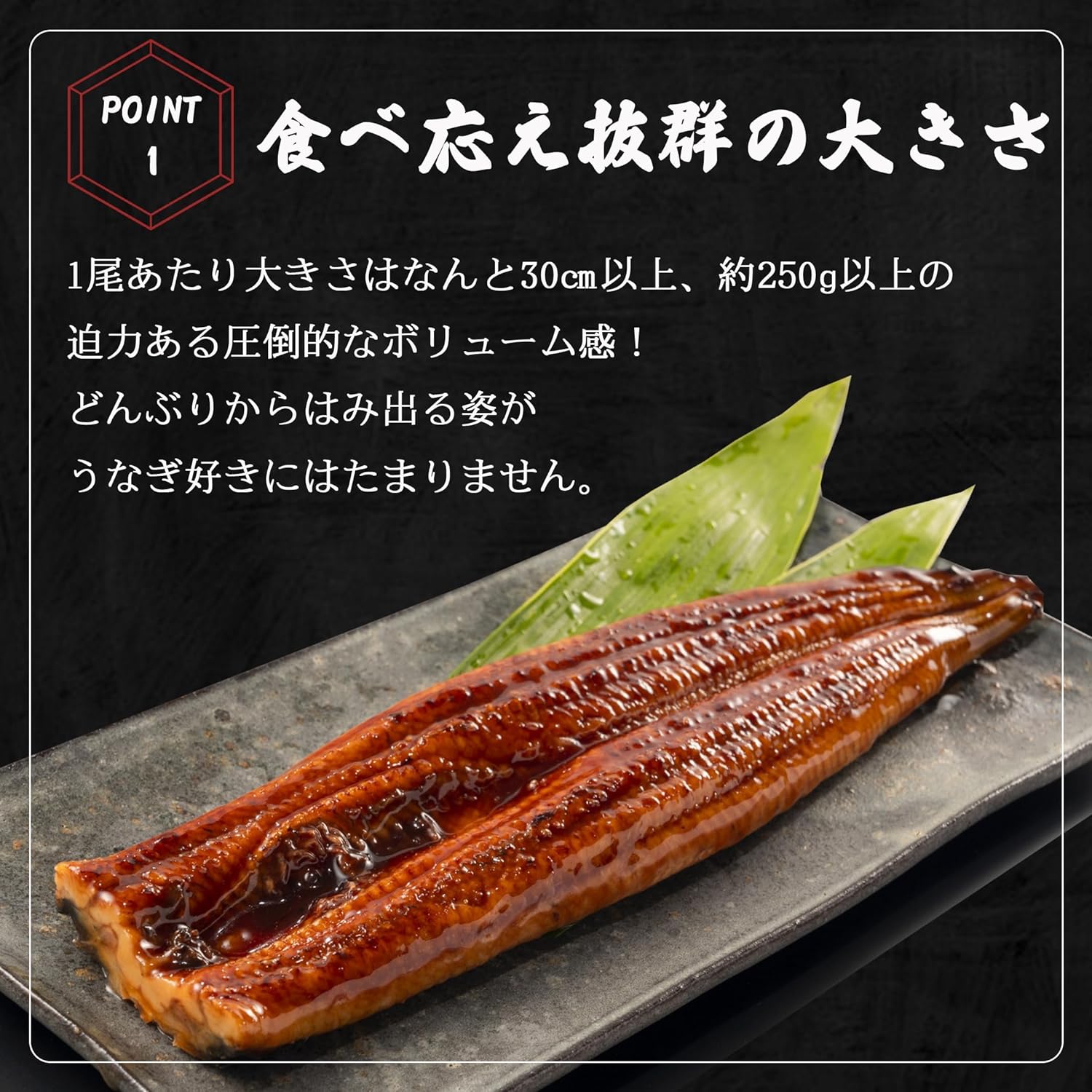 うなぎ 蒲焼き 【 超特大サイズ 6尾 】 約1.5kg 簡易包装 自宅用 ウナギ 蒲焼 ひつまぶし お茶漬け うな重 うな丼 うなぎの蒲焼き 鰻 うな丼　特大 サイズ