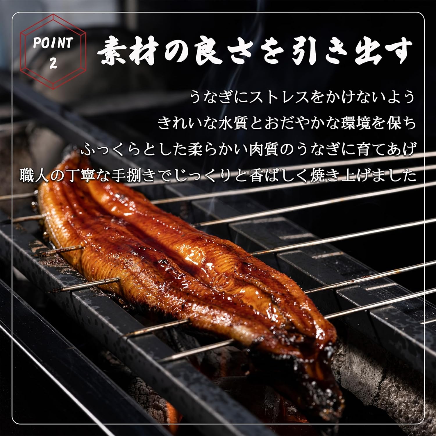 うなぎ 蒲焼き 【 超特大サイズ 6尾 】 約1.5kg 簡易包装 自宅用 ウナギ 蒲焼 ひつまぶし お茶漬け うな重 うな丼 うなぎの蒲焼き 鰻 うな丼　特大 サイズ