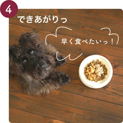 ビオリオーブ ダック ディッシュ 120g 12個セット Bioliob 犬用 ウェットフード 愛犬用栄養補助食 ドッグフード 3950