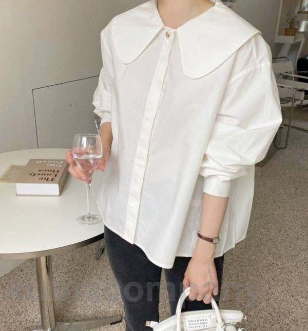 襟付き バックプリーツ ブラウス シャツ レディース 長袖 トップス シャツブラウス プリーツ ビッグカラー ラウンドカラー 丸襟 通勤服 オフィス 韓国 ファッション 春 秋 カジュアル シンプル 襟付き バックプリーツ ブラウス シャツ レディース 長袖 トップス シャツブラウス プリーツ ビッグカラー ラウンドカラー 丸襟 通勤服 オフィス 韓国 ファッション 春 秋 カジュアル シンプル