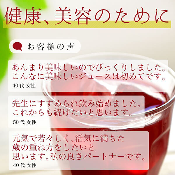 クランベリージュース 100％ ストレート クランベリー100 500ml 3本セット 順造選