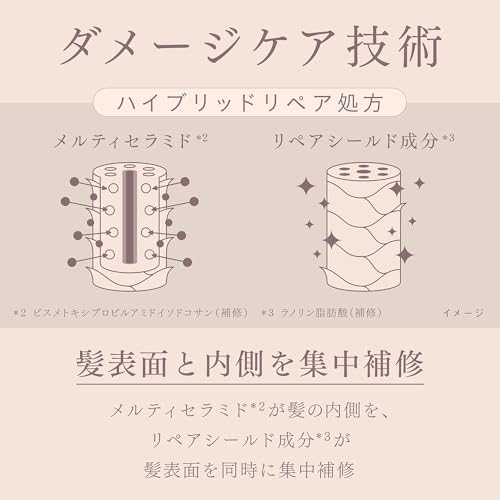 melt (メルト) モイストポンプペア+クリーミーメルトフォーム付き とろける体験セット ポンプペア 960ml + 2g 休息美容 melt (メルト) モイストポンプペア+クリーミーメルトフォーム付き とろける体験セット ポンプペア 960ml + 2g 休息美容