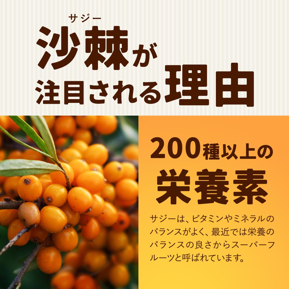 沙棘 (6個セット約6ヶ月分) 沙棘 (6個セット約6ヶ月分)