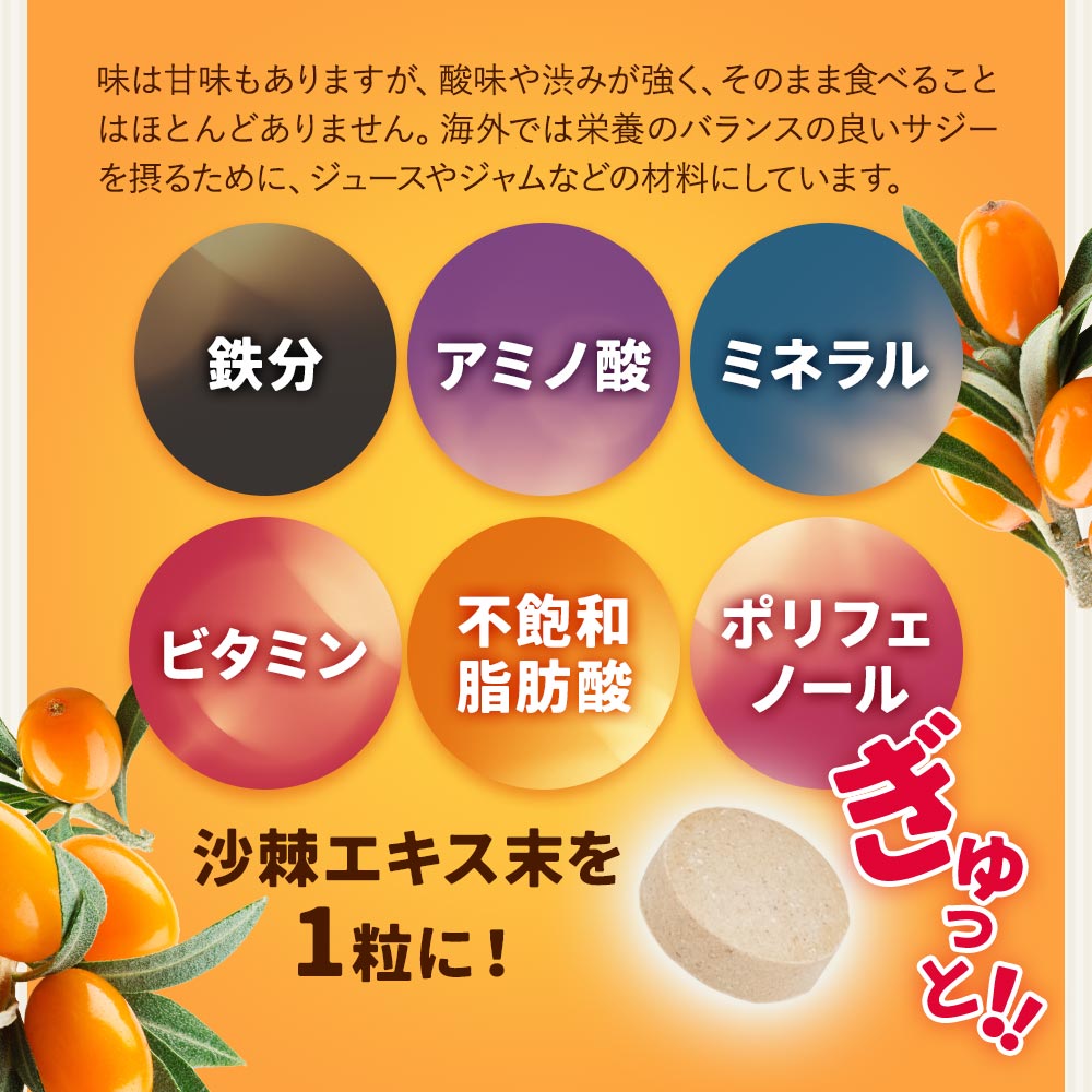 沙棘 (6個セット約6ヶ月分) 沙棘 (6個セット約6ヶ月分)