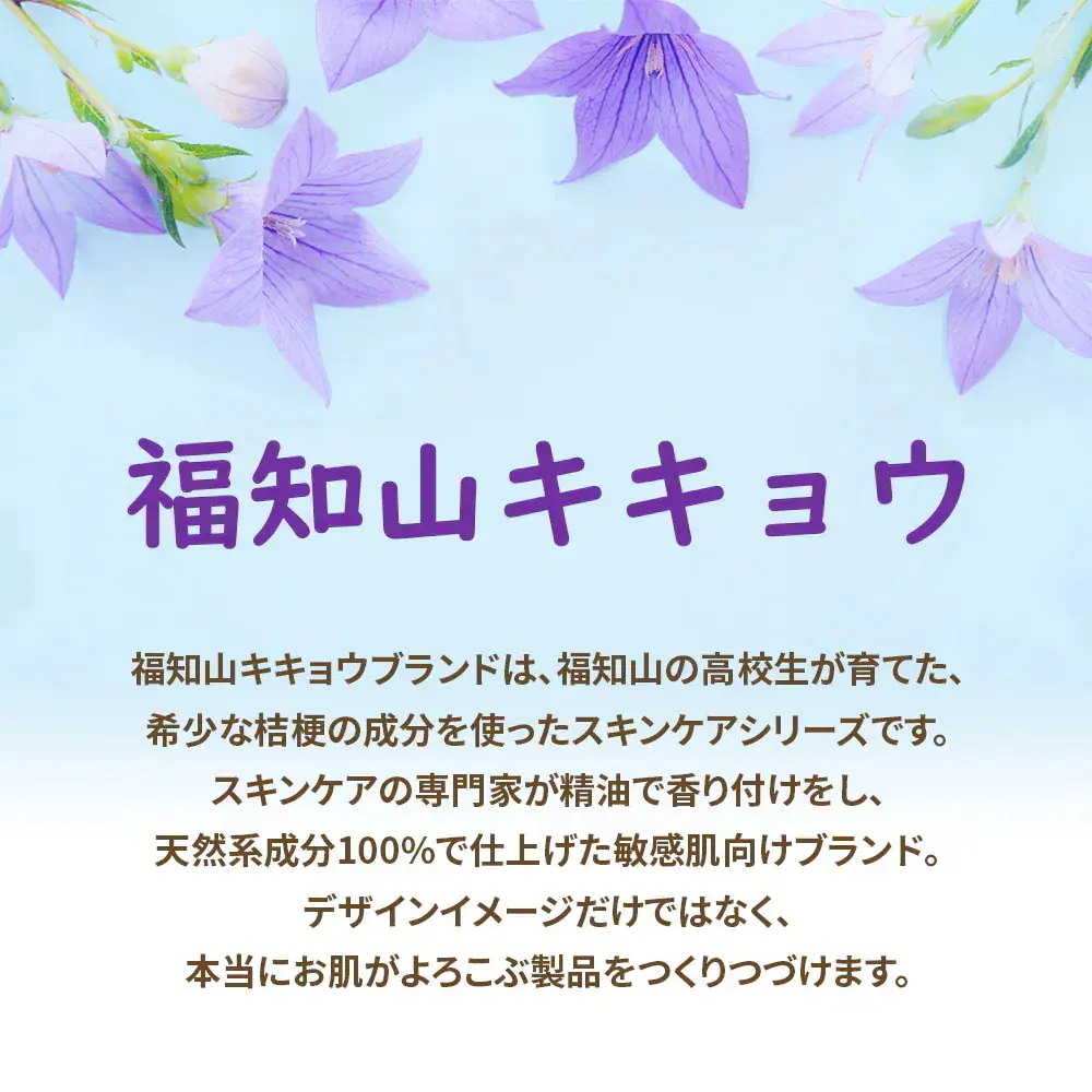 【天然成分100%】FK ハンドソープ 17L 福知山キキョウ 詰替え用 業務用 本体 敏感肌 石けん 弱アルカリ 肌に優しい 泡タイプ 無添加手に優しい ばい菌 液体 さっぱり 除菌 天然 福知山