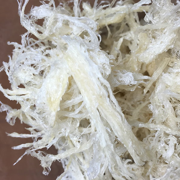 【美白美肌+ダイエット食品】天然燕の巣・つばめの巣・アナツバメの巣・5点セット♪ 美白美肌+ダイエット食品】天然燕の巣・つばめの巣*アナツバメの巣