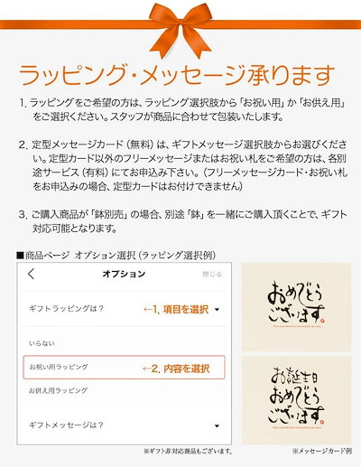 得価格安 VK-F4186 : フェイクグリーン ユッカポット 110c : ガーデニング・DIY・工具 正規品格安