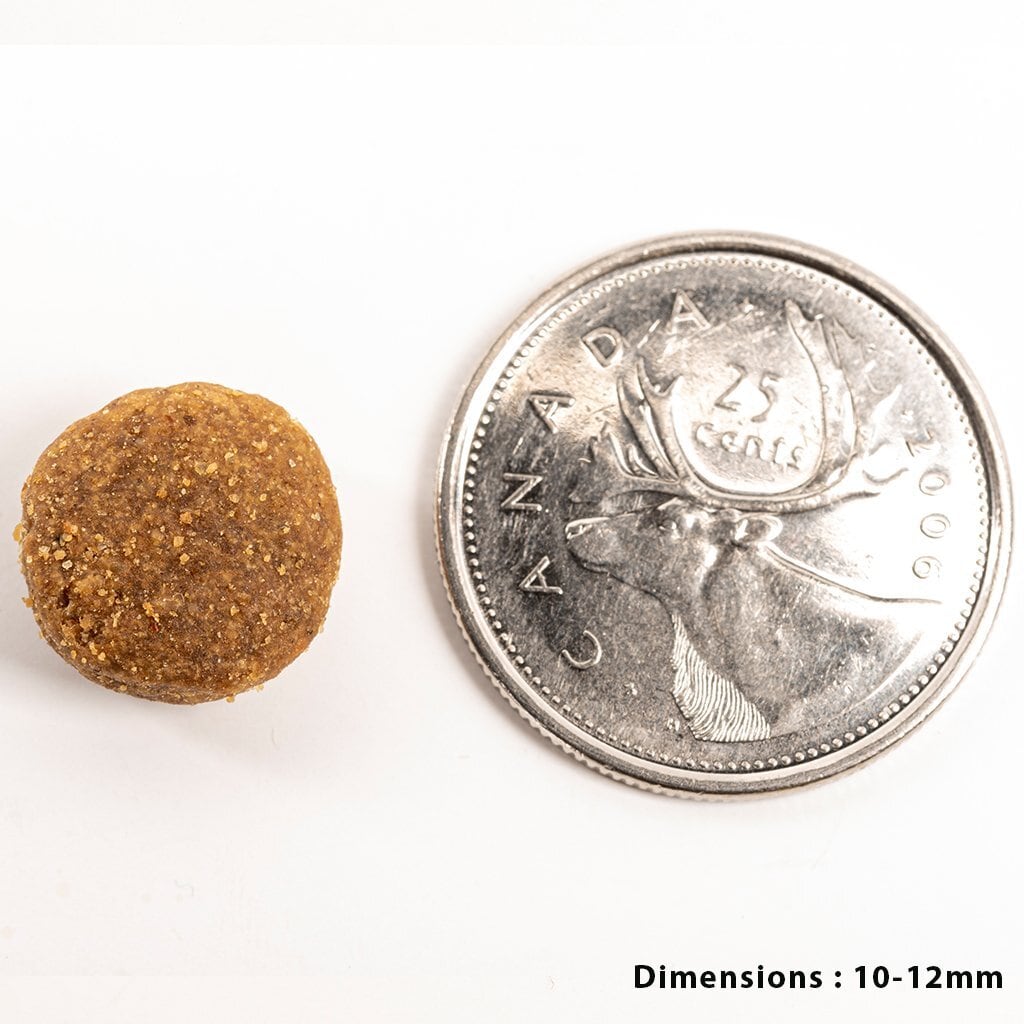 ペットカインド グリーンラムトライプ 11.34kg ドッグフード Petkind 全年齢 全犬種 ペットカインド グリーンラムトライプ 11.34kg ドッグフード Petkind 全年齢 全犬種