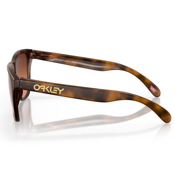 Qoo10] スワンズ OAKLEY オークリー Frogski