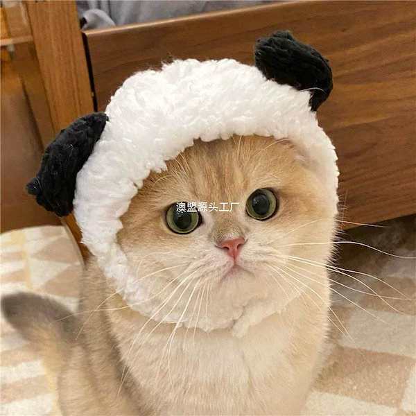 ぬいぐるみ クマ くま テディベア 小さい プレゼント くまの