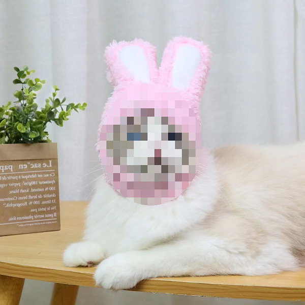 Qoo10] かわいいパンダ猫帽子面白いクマ犬カシャテ