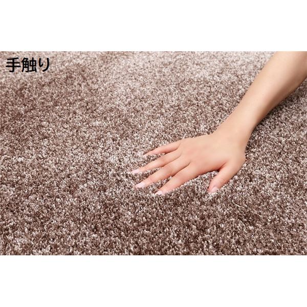 展示品 高級プレーベル ジェイド 190×290 ブラウン カーペット ラグ 展示会使用 高級プレーベル ジェイド 190×290 ブラウン カーペット ラグ