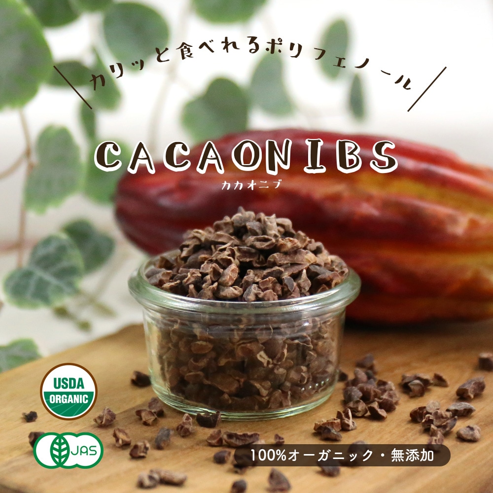 【予約販売1月下旬より順次発送】 カカオニブ 大容量500g 100%オーガニック 無添加　ローストタイプ ペルー産 カカオ チップ ポリフェノール