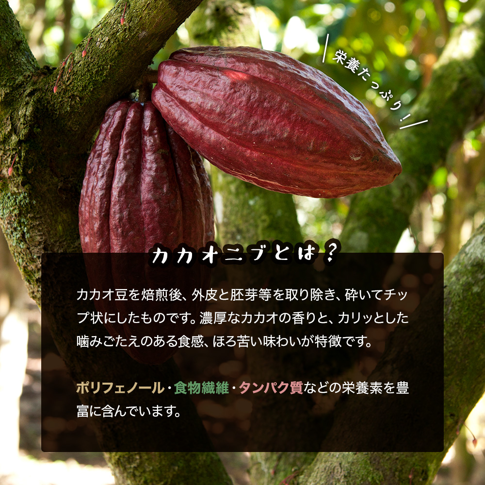 【予約販売1月下旬より順次発送】 カカオニブ 大容量500g 100%オーガニック 無添加　ローストタイプ ペルー産 カカオ チップ ポリフェノール