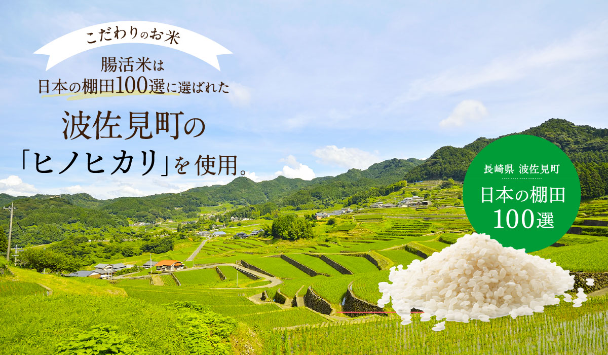 無洗米 腸活米 2kg まぜるだけカンタン腸活 国産無添加 製法特許 乳酸菌コーティング