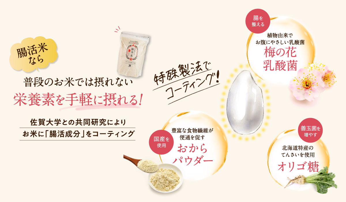 無洗米 腸活米 2kg まぜるだけカンタン腸活 国産無添加 製法特許 乳酸菌コーティング