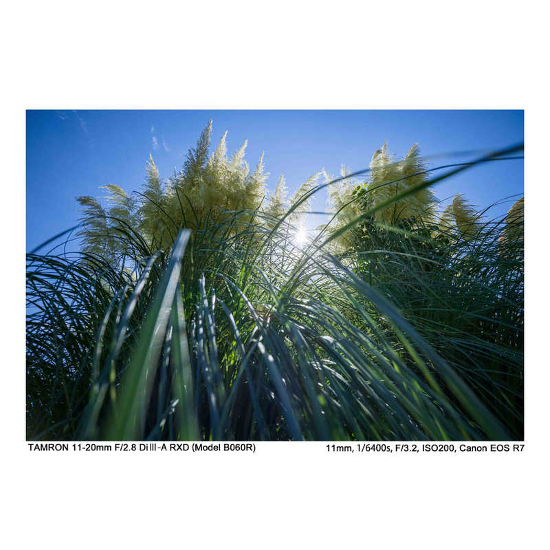 タムロン　カメラレンズ 11-20mm F/2.8 Di III-A RXD(Model B060R) ［キヤノンRF /ズームレンズ］　B060R_11・20F2.8
