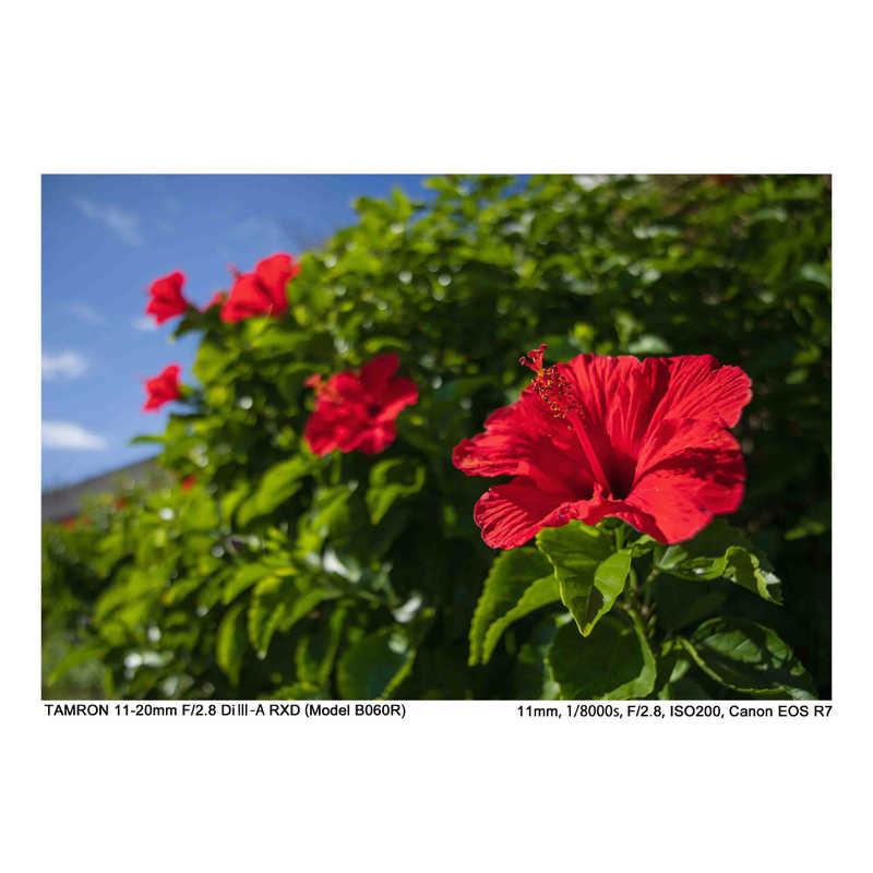 タムロン　カメラレンズ 11-20mm F/2.8 Di III-A RXD(Model B060R) ［キヤノンRF /ズームレンズ］　B060R_11・20F2.8