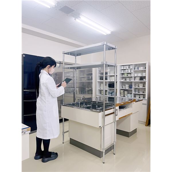 (2本セット) 支柱補強パイプ 35cm専用 スチール クロームメッキ 部品 パーツ インテリア家具 インテリア雑貨 プロフェイス