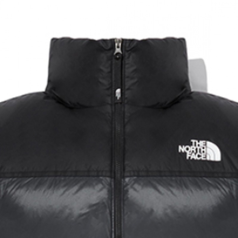 ノースフェイス 1996 ヌプシ エア ダウン ジャケット NJ1DQ50B_CHC