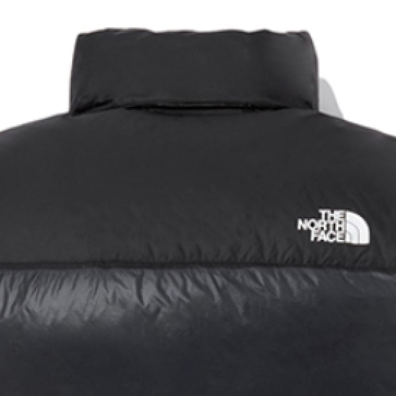 ノースフェイス 1996 ヌプシ エア ダウン ジャケット NJ1DQ50B_CHC