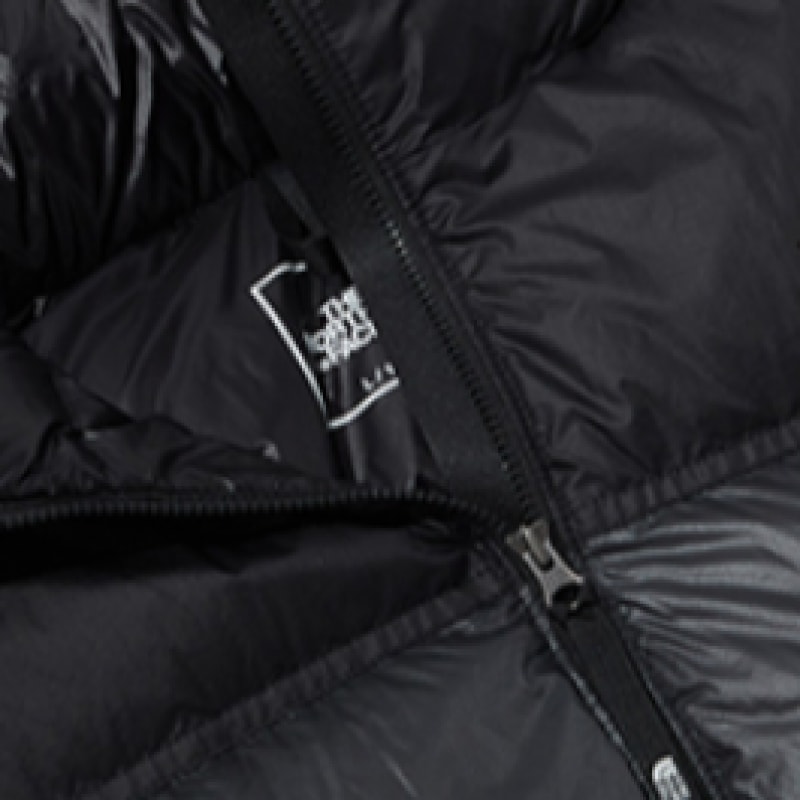 ノースフェイス 1996 ヌプシ エア ダウン ジャケット NJ1DQ50B_CHC