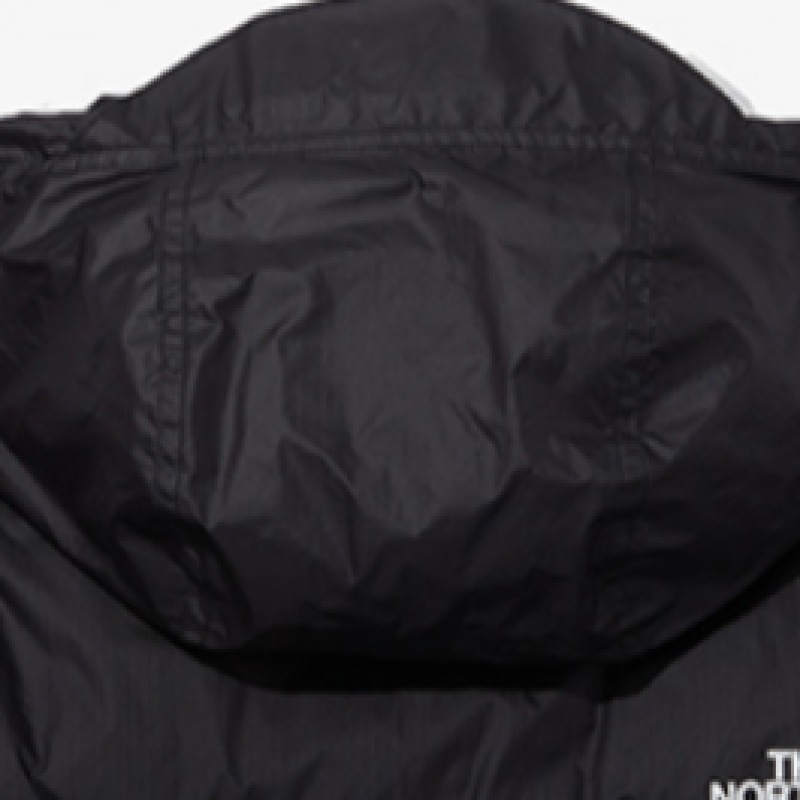 ノースフェイス 1996 ヌプシ エア ダウン ジャケット NJ1DQ50B_CHC