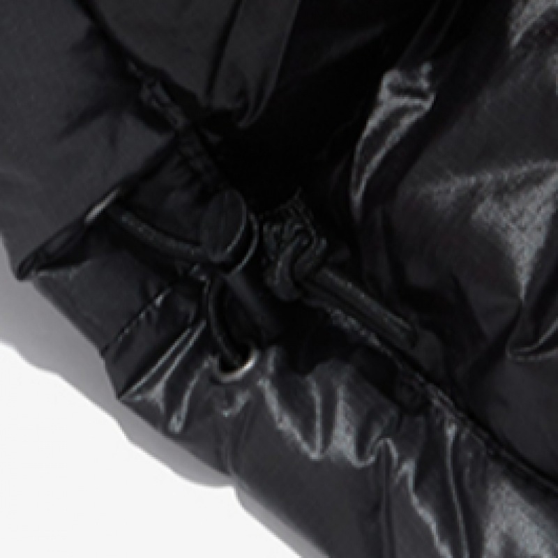 ノースフェイス 1996 ヌプシ エア ダウン ジャケット NJ1DQ50B_CHC