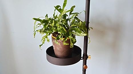 ドローアライン トレイ ブラック 縦専用パーツ 幅23×奥行29×高さ6cm 耐荷重2kg D-T-BK ドローアライン トレイ ブラック 縦専用パーツ 幅23×奥行29×高さ6cm 耐荷重2kg D-T-BK